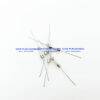 (จำนวน 5 ชิ้น) CERAMIC FUSE เซรามิก ฟิวส์ 5A 250V หางหนู SIZE 5X20MM. - Image 3